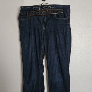 Express Dark Wash Midrise Denim Jeans